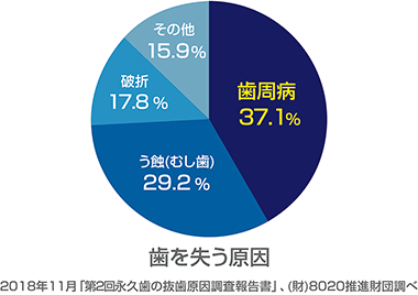 歯を失う原因のイラスト
