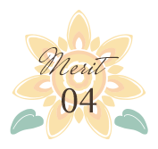merit04