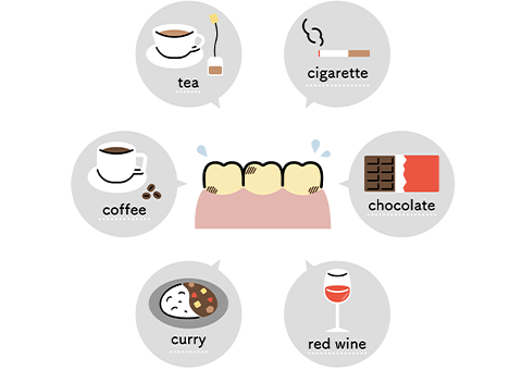 ポリフェノールを多く含む食品のイラスト